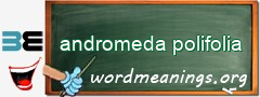 WordMeaning blackboard for andromeda polifolia